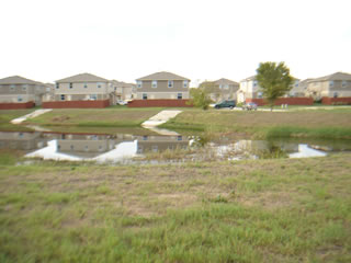 Wet pond on Harris Ridge.