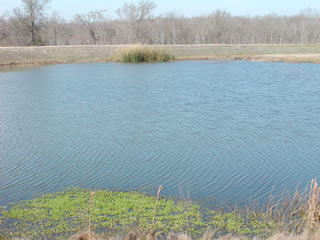 One of the wet ponds within the District.