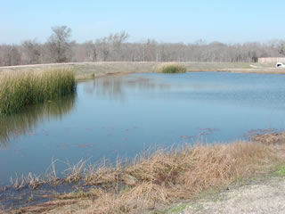 One of the wet ponds within the District.